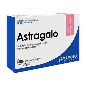 Astragalo (má adaptogenní účinky pro ženy a muže) - Yamamoto 30 tbl. obraz