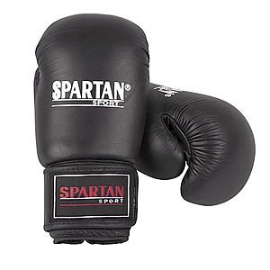 Boxerské rukavice Spartan Top Ten obraz