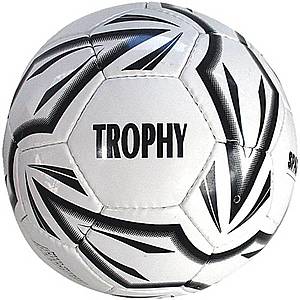 Fotbalový míč SPARTAN Trophy vel. 5 obraz