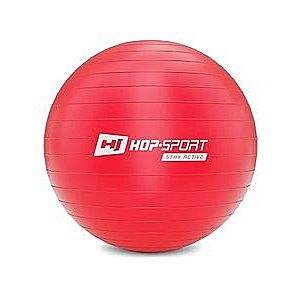 Gymnastický míč fitness 55cm s pumpou - červený obraz