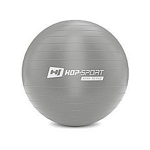 Gymnastický míč fitness 55cm s pumpou - stříbrný obraz