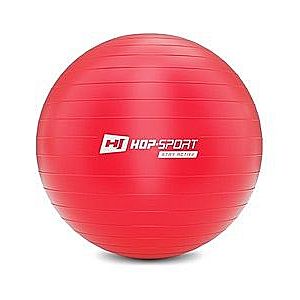 Gymnastický míč fitness 65cm s pumpou - červený obraz