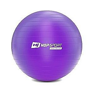 Gymnastický míč fitness 65cm s pumpou - fialový obraz
