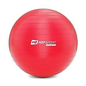 Gymnastický míč fitness 75cm s pumpou - červený obraz