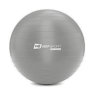 Gymnastický míč fitness 75cm s pumpou - stříbrný obraz