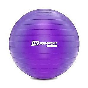 Gymnastický míč fitness 75cm s pumpou - fialový obraz