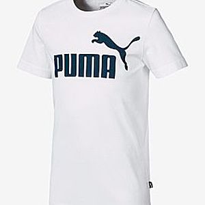 ESS Logo Tee B Puma White-Surf the web obraz