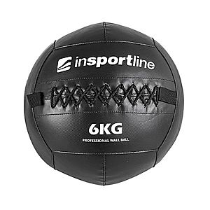 Posilovací míč inSPORTline Walbal SE 6 kg obraz