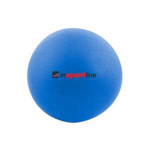 Míč na posilování inSPORTline Aerobic Ball 25 cm obraz