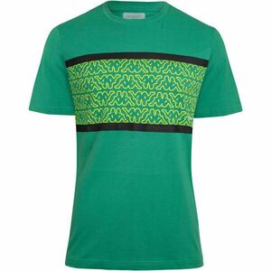 Kappa LOGO CARTOR Pánské triko, zelená, veľkosť M obraz