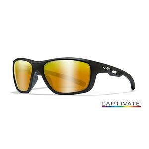 Sluneční brýle Aspect Captivate Wiley X® (Barva: Černá, Čočky: Captivate bronzové polarizované) obraz