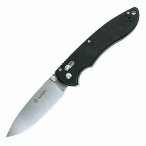Zavírací nůž G740 Ganzo® – Stříbrná čepel – Satin, Černá (Barva: Černá, Varianta: Stříbrná čepel – Satin) obraz