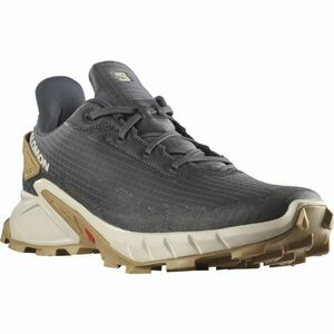 Salomon ALPHACROSS 4 Pánská trailová bota, tmavě šedá, velikost 43 1/3 obraz