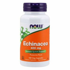 Echinacea 400 mg 100 kaps. - NOW Foods obraz