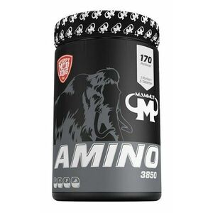 Amino 3850 - Mammut Nutrition 850 tbl. obraz