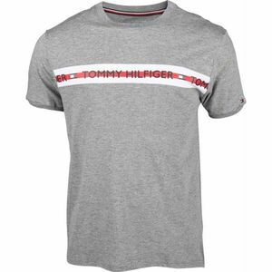 Tommy Hilfiger CN SS TEE LOGO Pánské tričko, šedá, velikost obraz