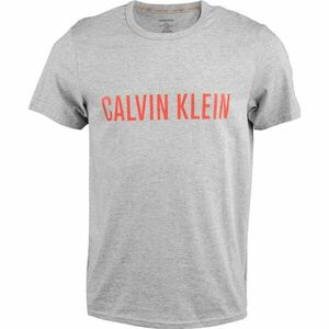 Calvin Klein S/S CREW NECK Pánské tričko, šedá, velikost obraz