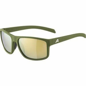 Alpina Sports NACAN I Sluneční brýle, tmavě zelená, velikost obraz