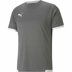 Puma TEAM LIGA JERSEY TEE Pánské fotbalové triko, šedá, velikost obraz