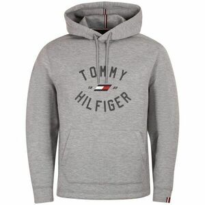 Tommy Hilfiger VARSITY GRAPHIC HOODY Pánská mikina, šedá, velikost obraz