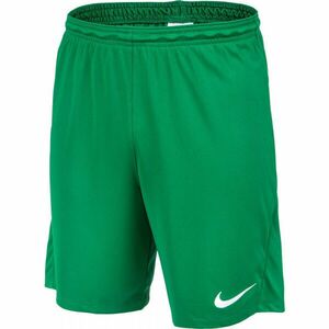 Nike DRI-FIT PARK 3 Pánské kraťasy, zelená, velikost obraz