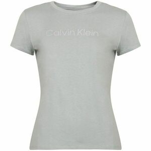 Calvin Klein S/S T-SHIRTS Dámské tričko, světle modrá, velikost obraz