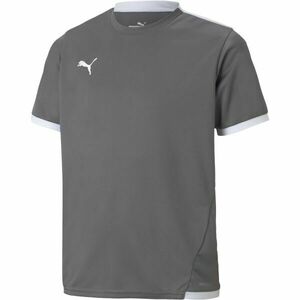 Puma TEAM LIGA JERSEY TEE Juniorské fotbalové triko, šedá, velikost obraz