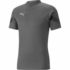 Puma TEAMFINAL TRAINING JERSEY TEE Pánské sportovní triko, šedá, velikost obraz