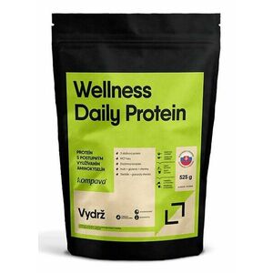 Wellness Daily Protein - Kompava 2, 0 kg Vanilka obraz