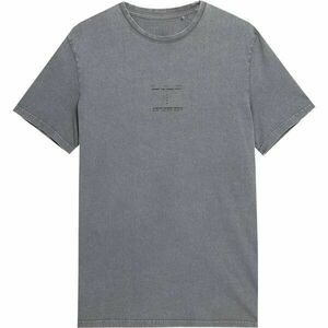 4F MEN´S T-SHIRT Pánské triko, šedá, velikost obraz