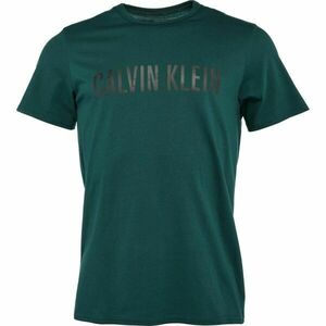 Calvin Klein S/S CREW NECK Pánské tričko, tmavě zelená, velikost obraz