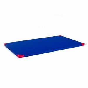 Gymnastická žíněnka inSPORTline Roshar T90 200x120x5 cm modrá obraz