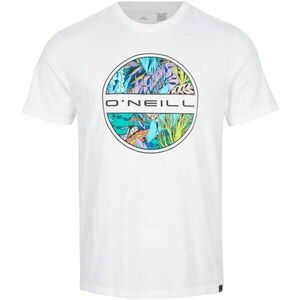 O'Neill SEAREEF Pánské tričko, bílá, velikost obraz