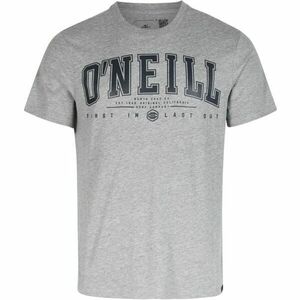 O'Neill STATE MUIR Pánské tričko, šedá, velikost obraz