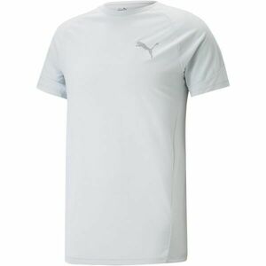 Puma EVOSTRIPE TEE Pánské sportovní triko, bílá, velikost obraz