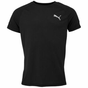 Puma EVOSTRIPE TEE Pánské tričko, černá, velikost obraz