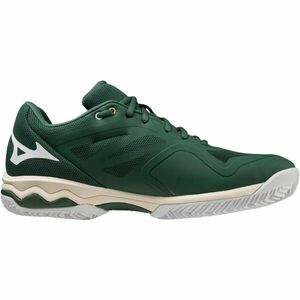 Mizuno WAVE EXCEED LIGHT CC Pánská běžecká obuv, zelená, velikost 42.5 obraz