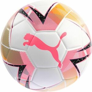 Puma FUTSAL 1 TB FIFA QUALITY PRO Futsalový míč, bílá, velikost obraz