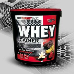 Whey Gainer - Vision Nutrition 2, 25 kg Vanilka obraz