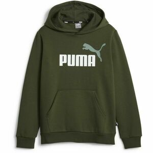 Puma ESSENTIALS + 2 COL HOODIE Chlapecká mikina, zelená, velikost obraz