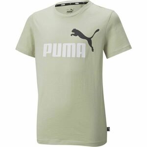 Puma ESSENTIALS+2 COL LOGO TEE Dětské triko, khaki, velikost obraz