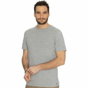BUSHMAN BORNO Pánské tričko, šedá, velikost obraz