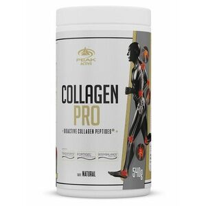 Collagen Pro - Peak Performance 540 g Orange obraz