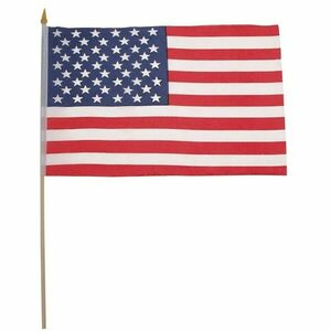 USA vlajka 45cm x 30 cm malá obraz