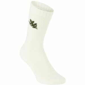 NATURA VIDA REGULAR NATUREL Pánské ponožky, bílá, veľkosť 39-42 obraz