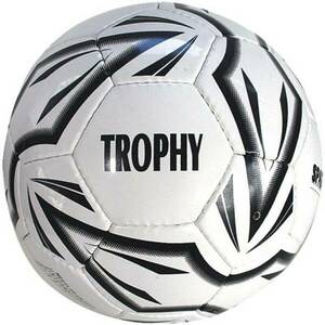 Fotbalový míč - SPARTAN Trophy vel. 4 obraz
