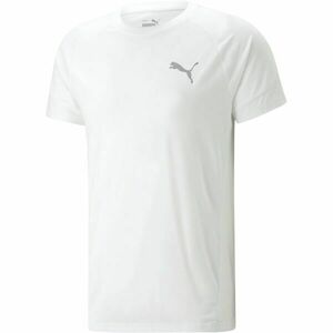 Puma EVOSTRIPE TEE Pánské sportovní triko, bílá, velikost obraz