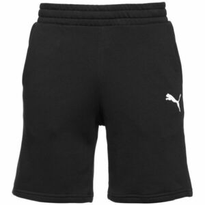 Puma TEAMGOAL 23 CASUALS SHORTS Pánské fotbalové šortky, černá, velikost obraz