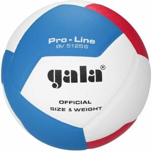 GALA BV5125 PRO-LINE 12 Volejbalový míč, bílá, velikost obraz