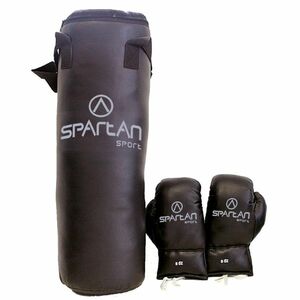 Boxovací set Spartan pytel 8 kg + rukavice obraz